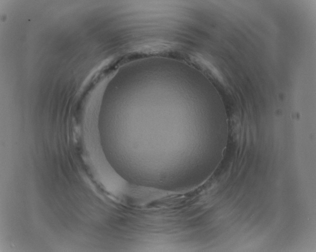 X0000076450400200610202340