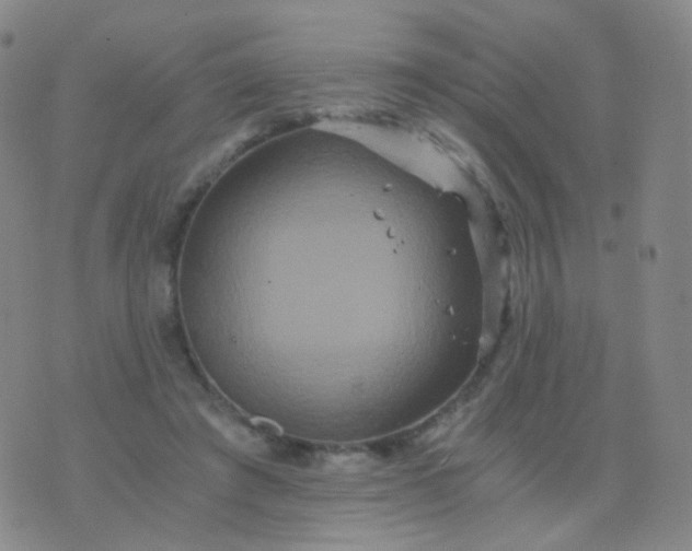 X0000076450401200610202340