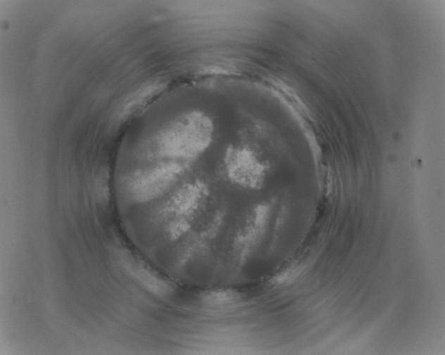 X0000076450402200610202340