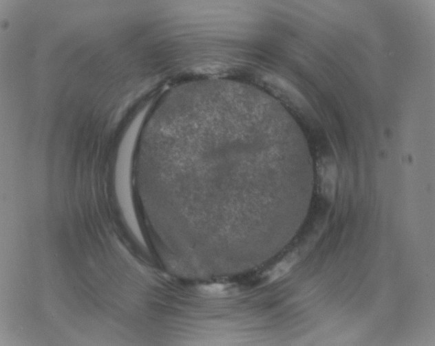 X0000076450404200610202340