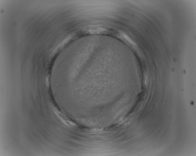 X0000076450405200610202340