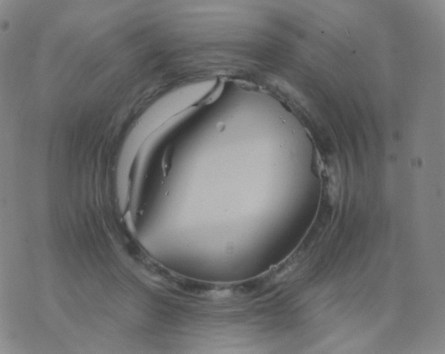 X0000076450406200610202340