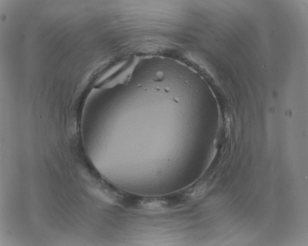 X0000076450407200610202340