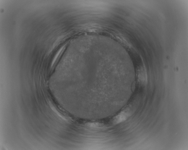 X0000076450408200610202340