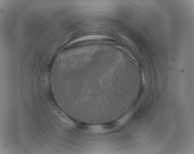 X0000076450409200610202340