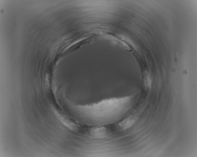 X0000076450410200610202340