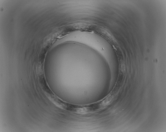 X0000076450411200610202340