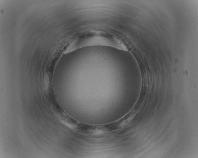 X0000076450412200610202340