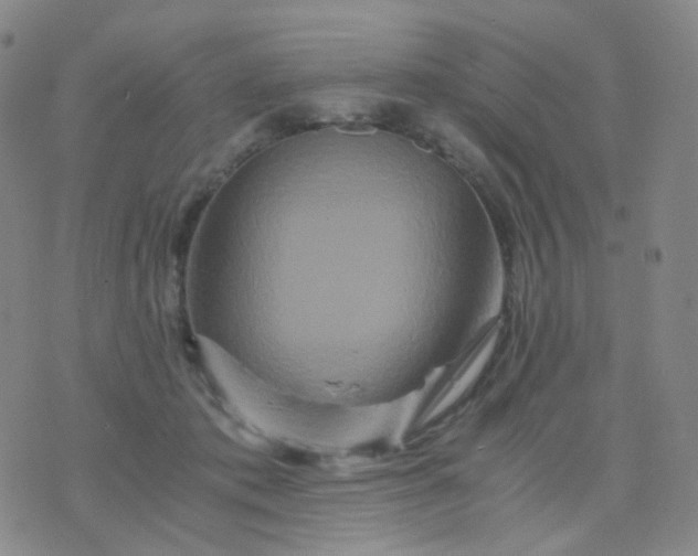 X0000076450413200610202340