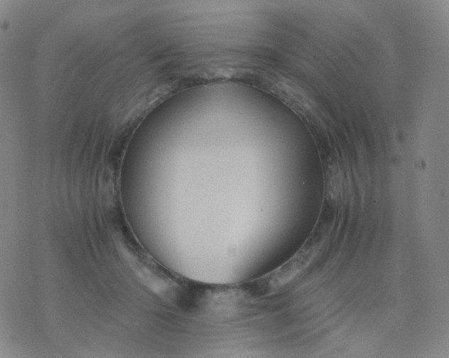 X0000076450414200610202340