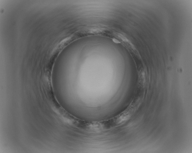 X0000076450415200610202339