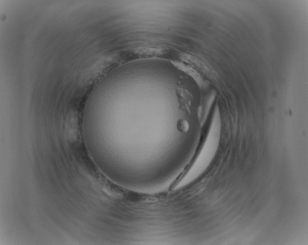 X0000076450416200610202339