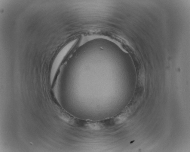 X0000076450417200610202339