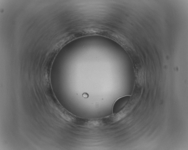 X0000076450418200610202339