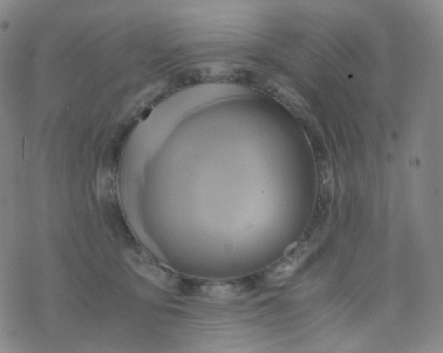 X0000076450419200610202339