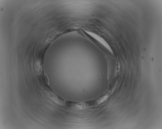 X0000076450420200610202339