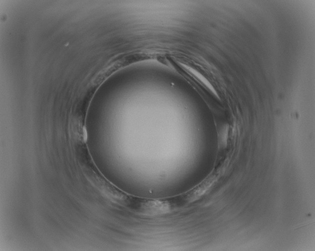 X0000076450421200610202339