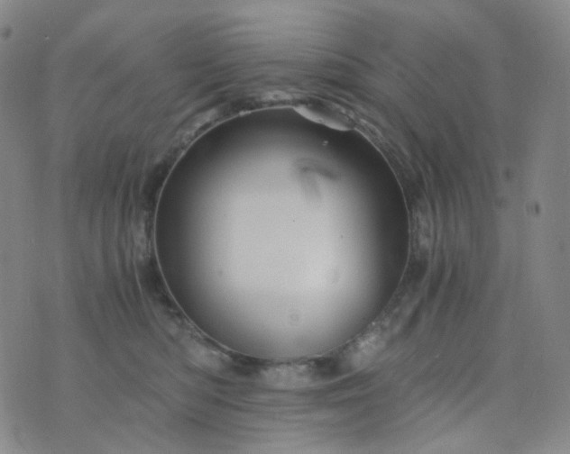 X0000076450422200610202339