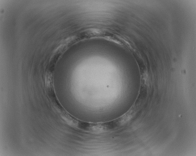 X0000076450423200610202339