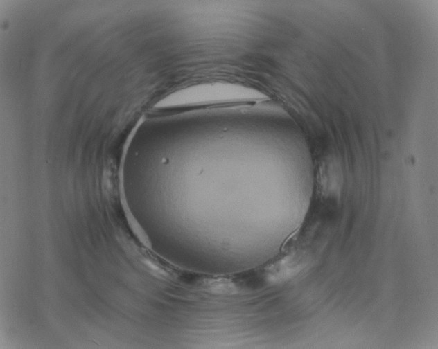 X0000076450424200610202339