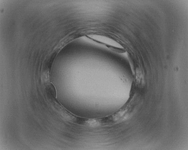 X0000076450425200610202339