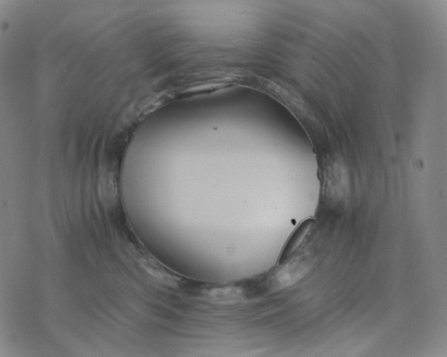 X0000076450426200610202339