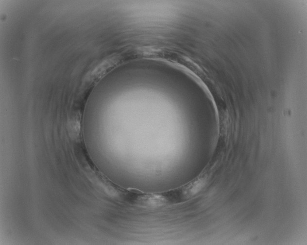 X0000076450427200610202339