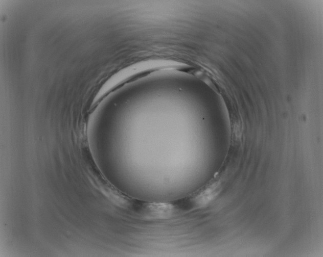 X0000076450429200610202339