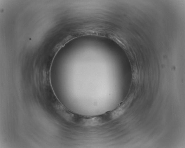 X0000076450430200610202339