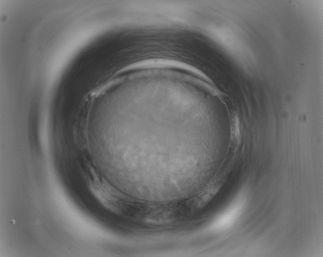 X0000076450431200610202339