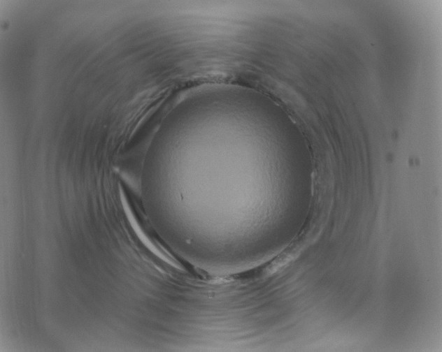 X0000076450432200610202339