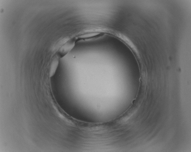 X0000076450433200610202338