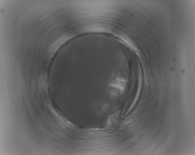 X0000076450434200610202338