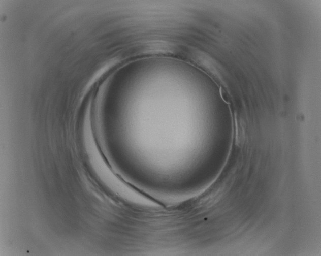 X0000076450435200610202338