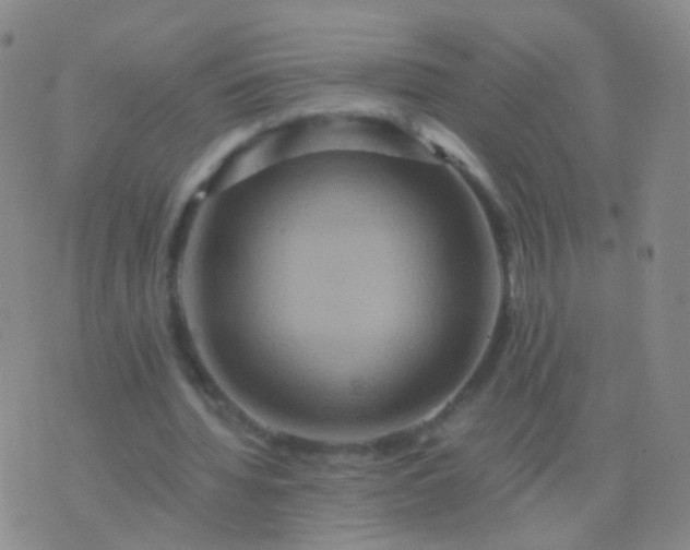 X0000076450436200610202339