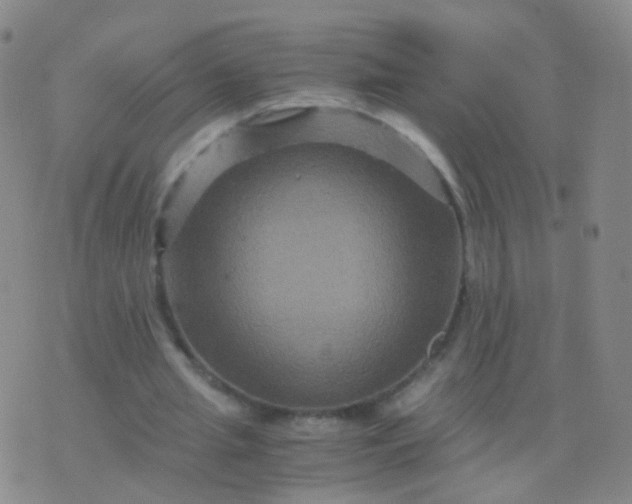 X0000076450437200610202339