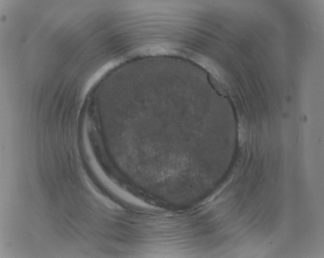 X0000076450438200610202339