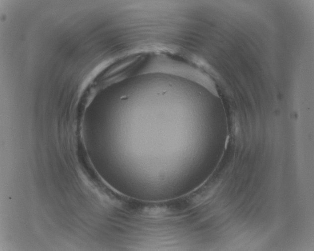 X0000076450440200610202339