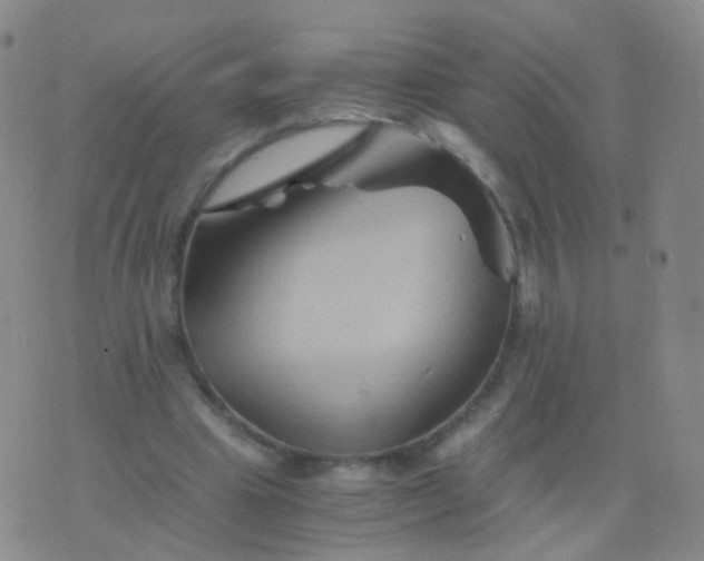 X0000076450441200610202339