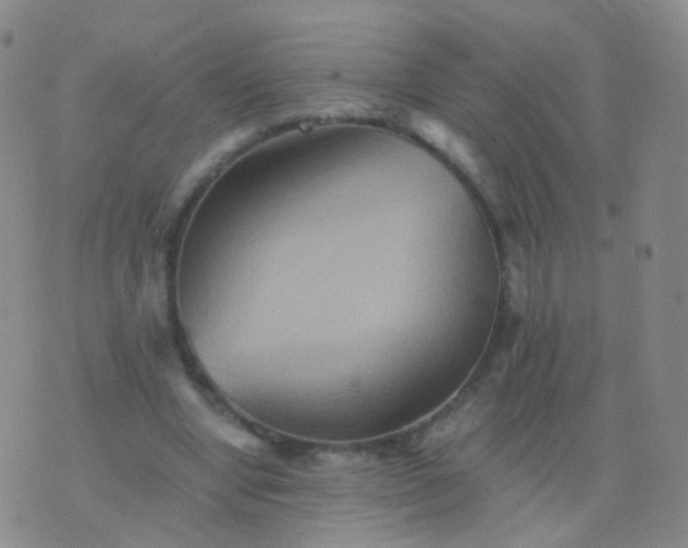 X0000076450442200610202339