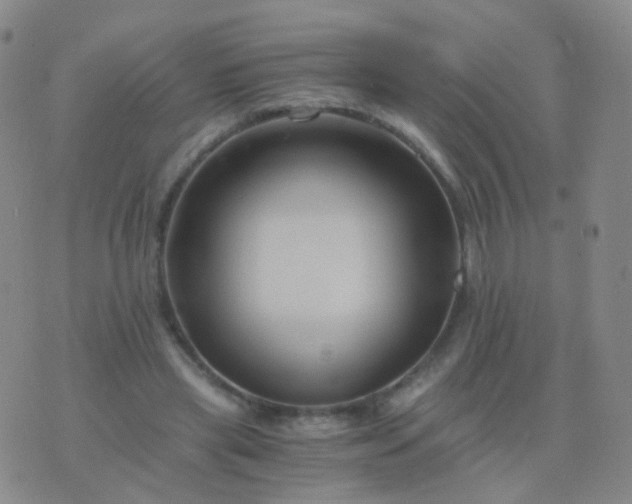 X0000076450445200610202339