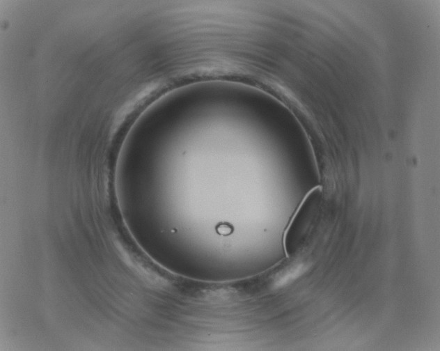 X0000076450446200610202339