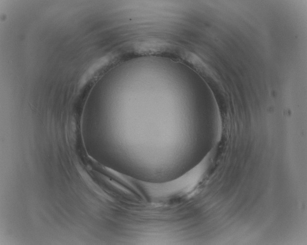 X0000076450448200610202339