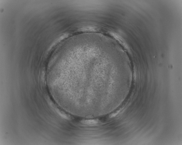 X0000076450449200610202339