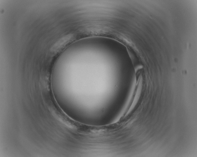 X0000076450450200610202339