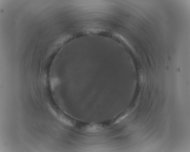 X0000076450451200610202339