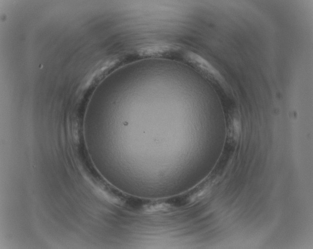 X0000076450452200610202339