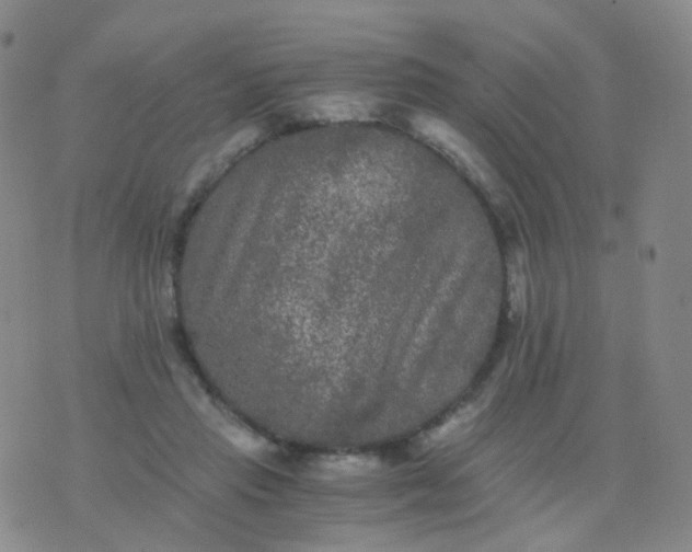 X0000076450453200610202339