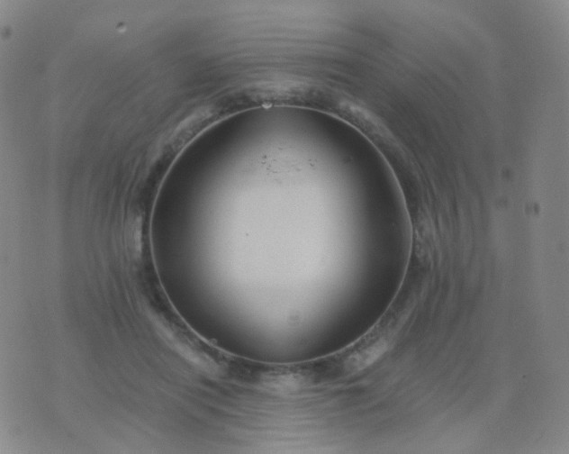 X0000076450454200610202339