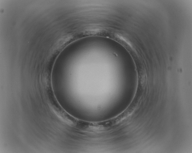 X0000076450455200610202339